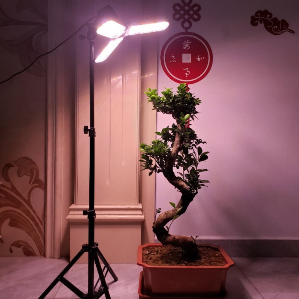 Portalampada 2M, attacco CA E2 - Stand Lighting Photography recensione e prezzo