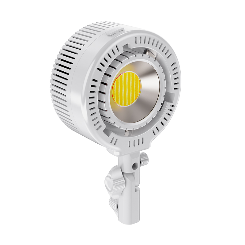 Luce LED COB Bicolore R200 per - Photography Lighting For Clothing recensione e prezzo
